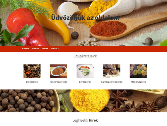 Weboldal készítés