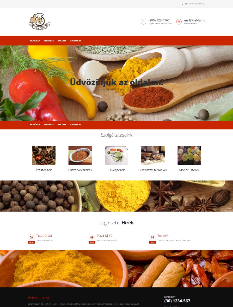 Weboldal készítés