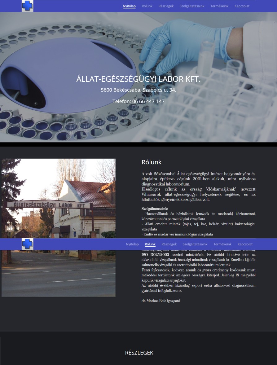 Weboldal készítés